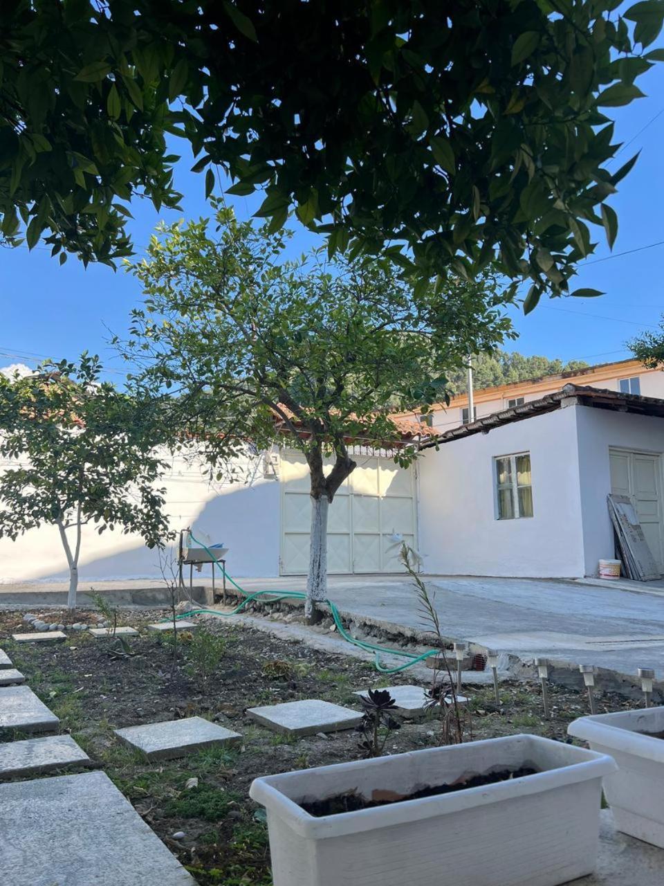 Berat Private Room In Haxhialiu Villa المظهر الخارجي الصورة